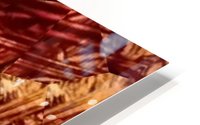 image3A6823_mirror4 HD Metal print