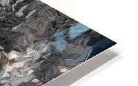 image3A6821_mirror15 HD Metal print