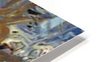 image3A6738_mirror HD Metal print