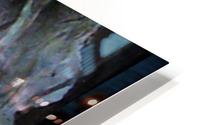 image3A6737_mirror HD Metal print