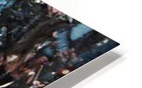 image3A6759_mirror HD Metal print