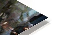 image3A6801_mirror HD Metal print