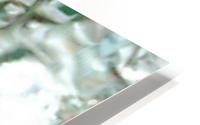 image3A6752_mirror HD Metal print