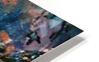 image3A6760_mirror HD Metal print