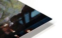 image3A6757_mirror HD Metal print