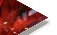image3A6750_mirror HD Metal print