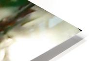 image3A6744_mirror HD Metal print