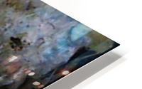 image3A6736_mirror HD Metal print