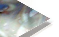image3A6726_mirror HD Metal print