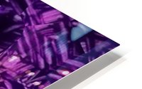 image3A6823_mirror6 HD Metal print