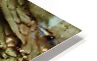 1538708539014 HD Metal print