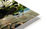 1538708677392 HD Metal print