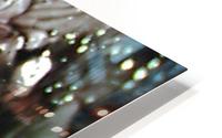 1538712227691 HD Metal print