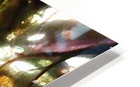 1539820335077 HD Metal print
