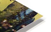 ditto_mirror_670 HD Metal print