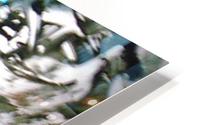 1545808035053 HD Metal print