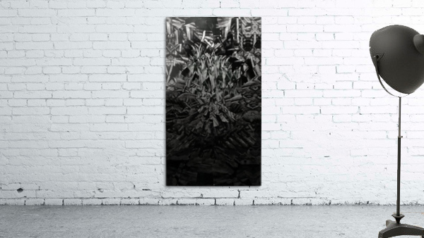 acc3D23Bdoc3D394_mirror3 Wall Preview