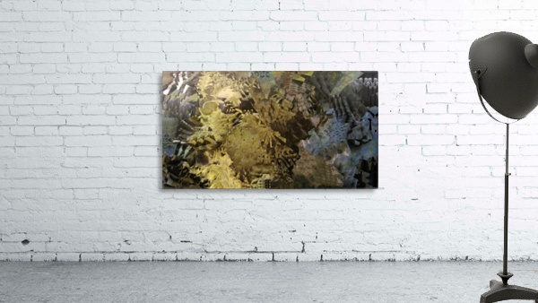image3A6801_mirror2 Wall Preview