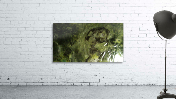 1538650603018 Wall Preview