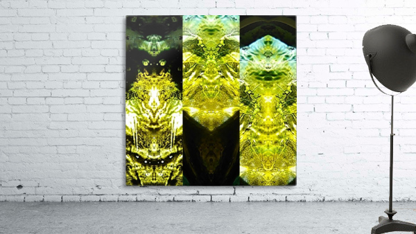 IMG_20181005_115859 Wall Preview