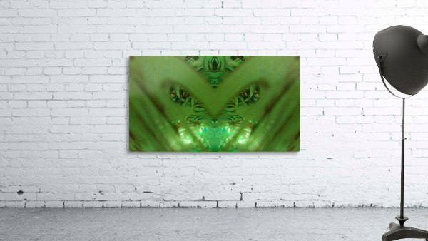 1539066009413 Wall Preview