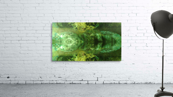 1539910391431 Wall Preview