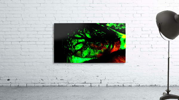 1540686597118 Wall Preview