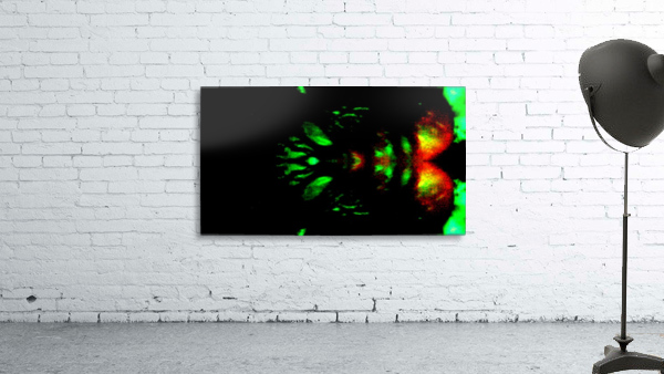 1540686439452 Wall Preview