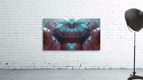 1541254456051 Wall Preview