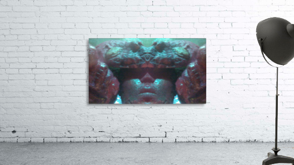 1541254470852 Wall Preview