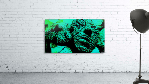 camart1541376806801 Wall Preview