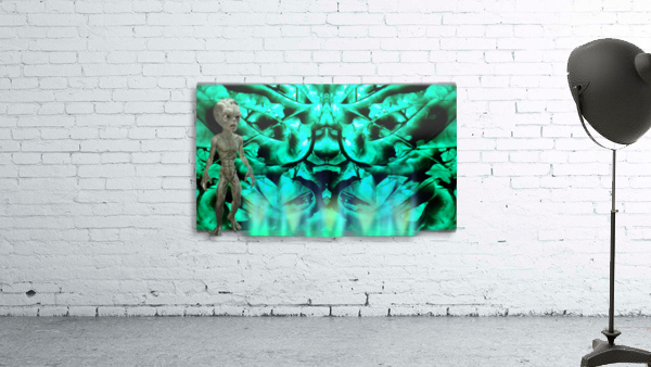 1542348210312 Wall Preview