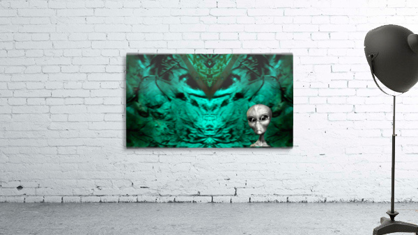 1542348409544 Wall Preview