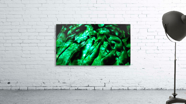 1542345854206 Wall Preview