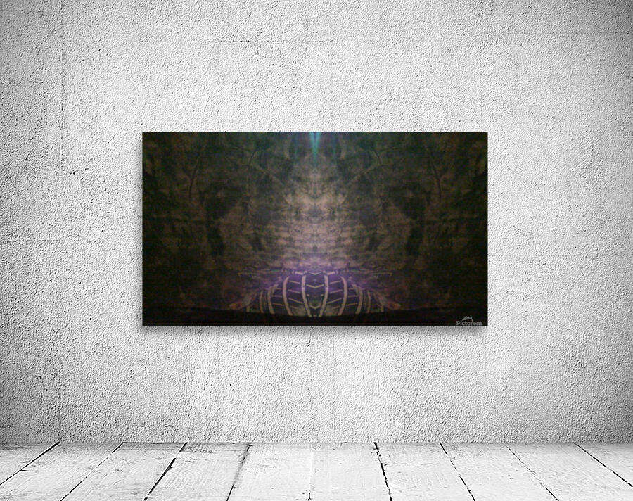 1544916857443 Wall Preview