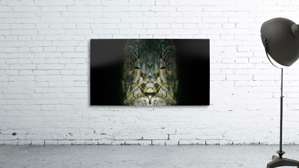 1545807066241 Wall Preview