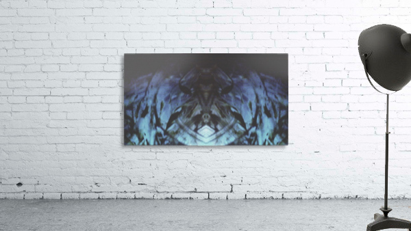 20181226_2170479 Wall Preview