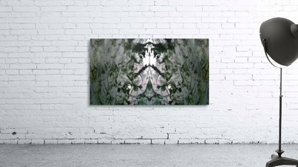 1545806161250 Wall Preview