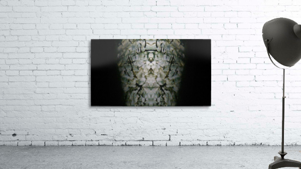 1545807058427 Wall Preview
