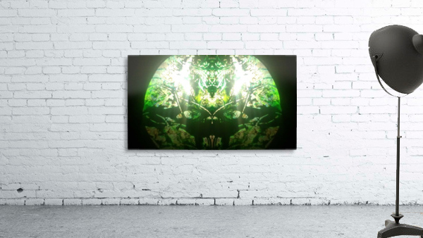 1547169313627 Wall Preview