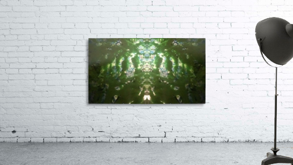 1547169114160 Wall Preview