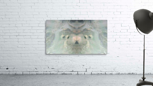1548132305011 Wall Preview