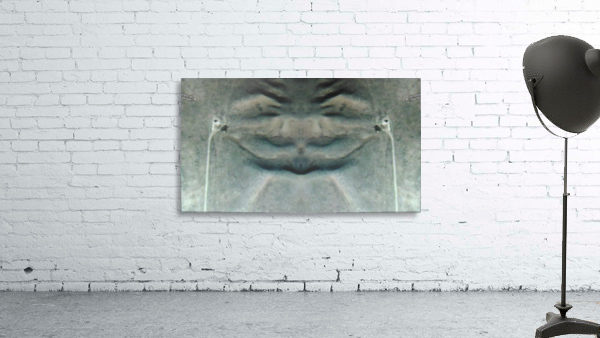1548132581414 Wall Preview