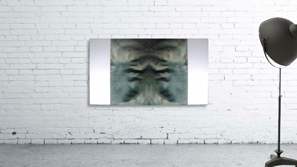 1548132744274 Wall Preview