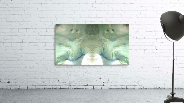 1548132077060 Wall Preview