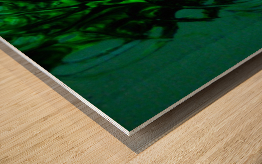 1544471361878 Wood print