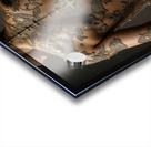 Essentially Nude  Acrylic print
