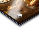 Private Moment Acrylic print