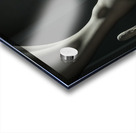  Bulbous Structure  Acrylic print