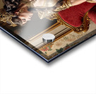  Cloaked in Elegance  Acrylic print